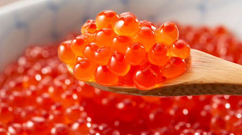 Up close look at fish roe on a wooden spoon