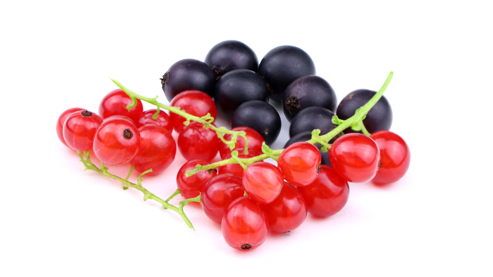 The Difference Between Red And Black Currants
