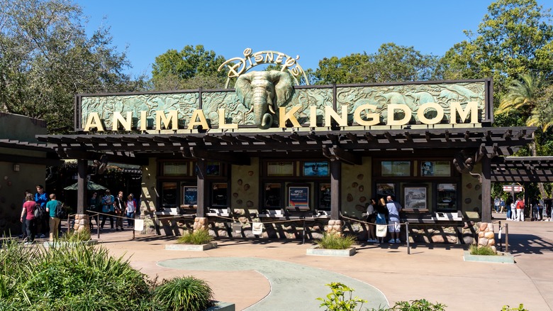 Entrance to Animal Kingdom at Disney World 