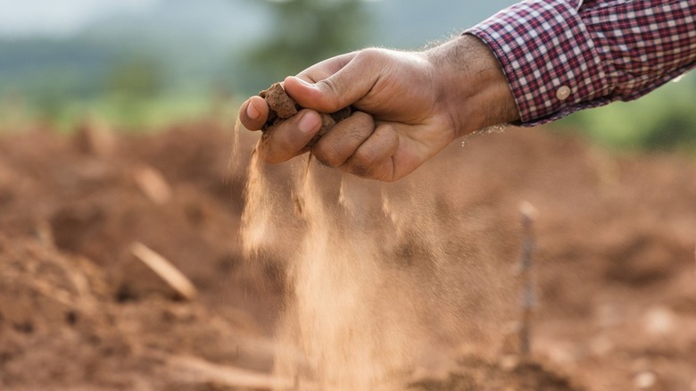 dry soil, person holding soil, soil is falling through hand