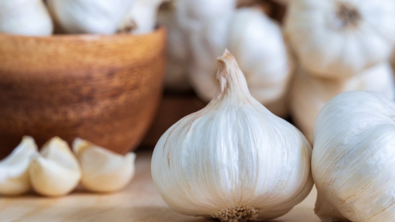 Bulbs of garlic