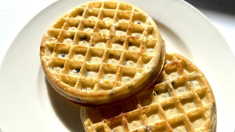 Two frozen waffles on plate