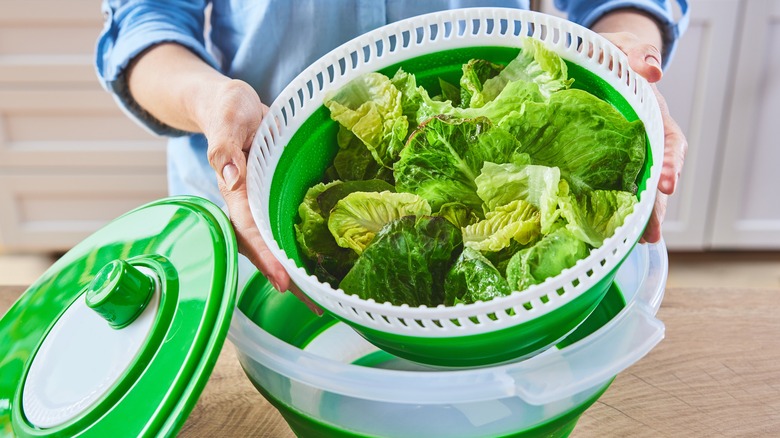 Lettuce in a salad spinner