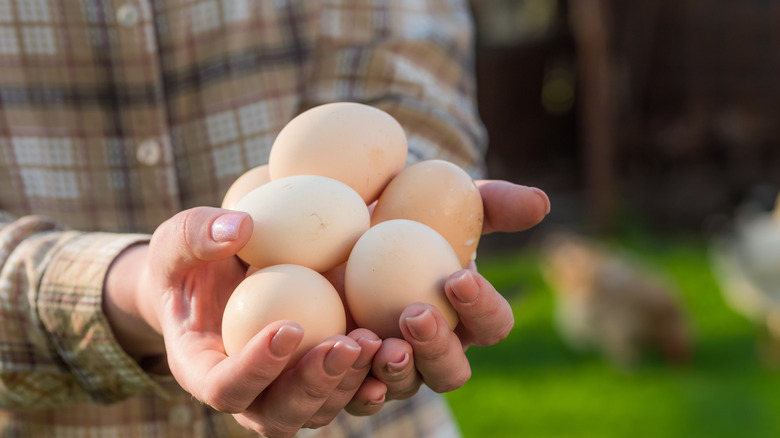 person balancing eggs in hand