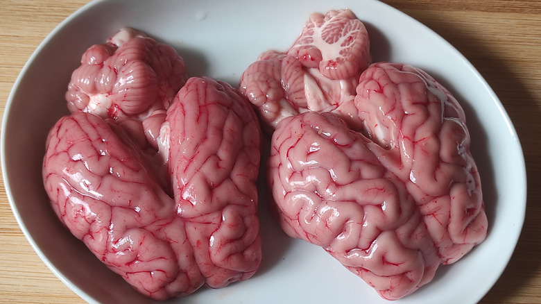 Sheep brains