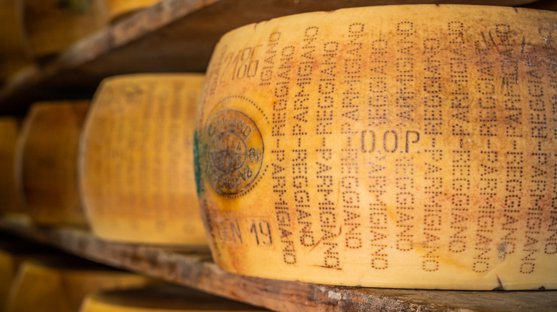 whole Parmigiano Reggiano cheese wheel