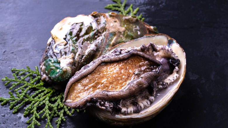 abalone in shell