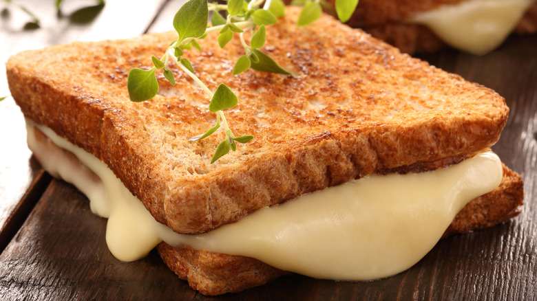 Grilled cheese sandwich with herbs