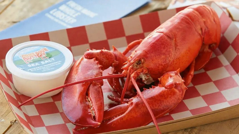 Steamed lobster on paper-lined tray with container of sea salt