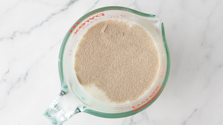 Yeast sprinkled on top of milk in measuring cup