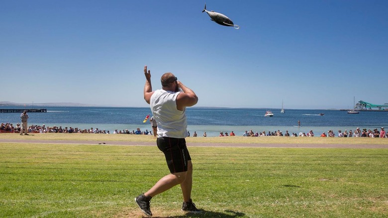 A large tuna mid-air after being thrown at Tunarama 