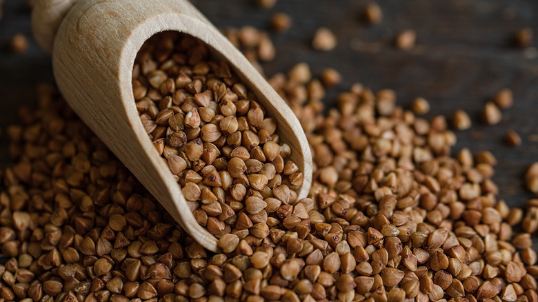 Buckwheat close-up