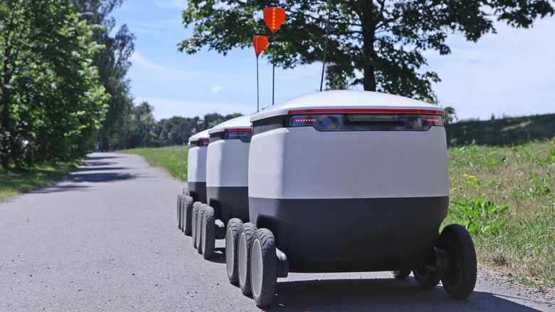 Food delivery robots