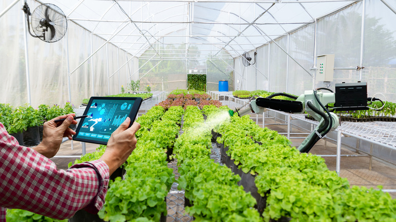 A man holding a tablet and a robot spraying water on plants