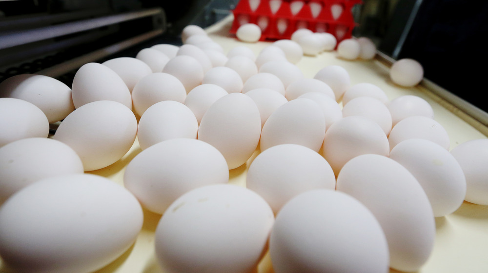 Eggs on a conveyor belt