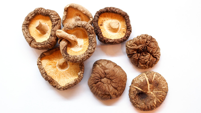 shiitake mushrooms against a white background