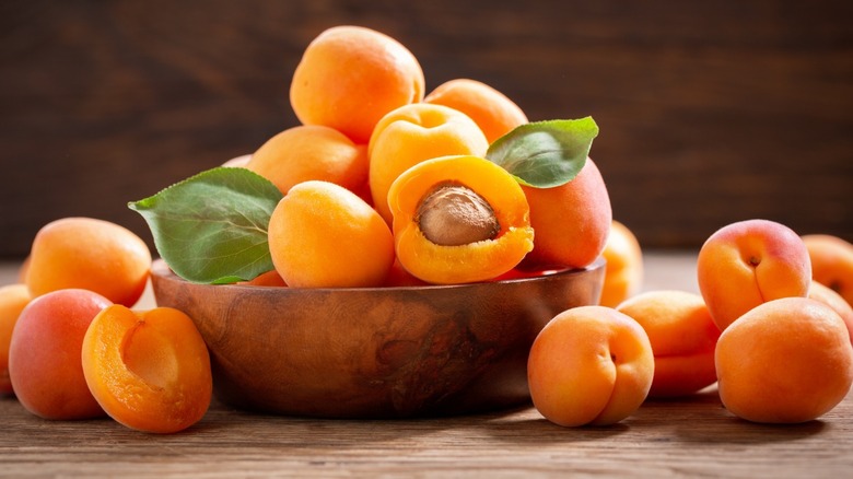 apricot family