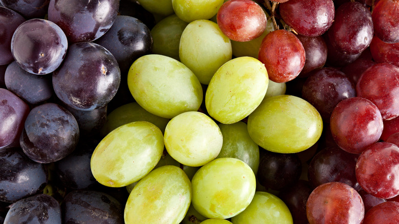 Dark, red, and green grapes