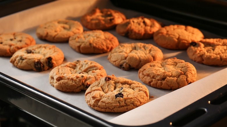 pan of oatmeal raisin cookies