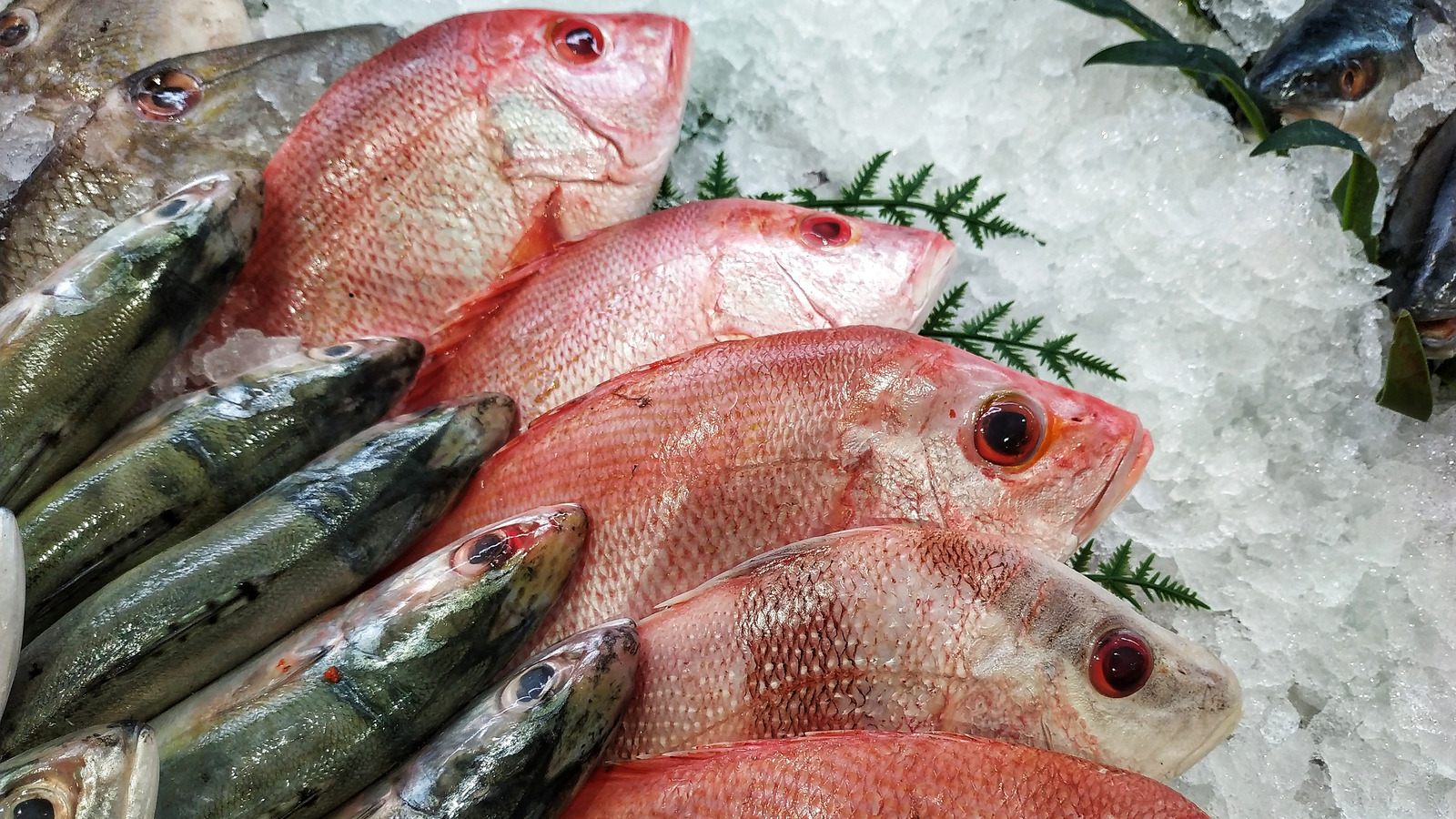 The Gross Reason You Might Be Allergic To Fish