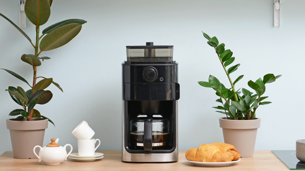 Drip coffee maker on counter