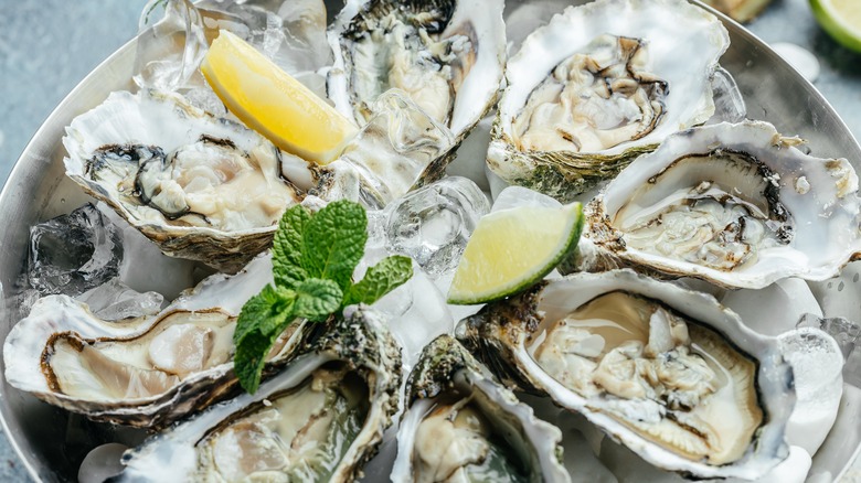 Oysters with lemon and ice