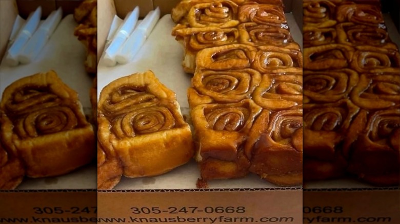 Knaus Berry Farm cinnamon rolls in a box