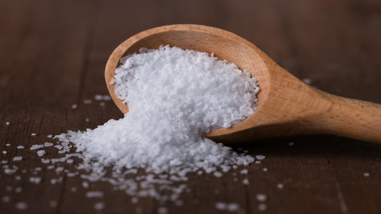 Kosher salt in a wooden spoon
