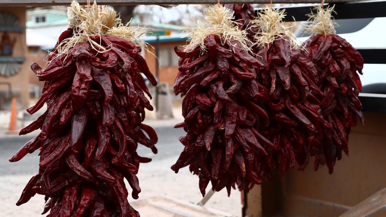 Hanging dried chimayo chilies