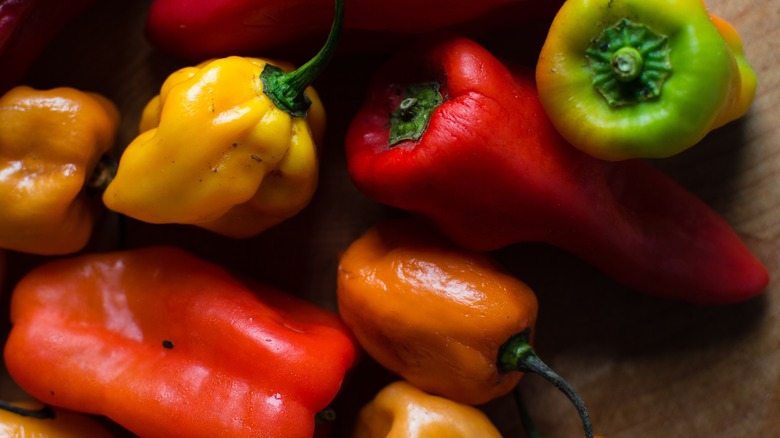 close up of fresh peppers