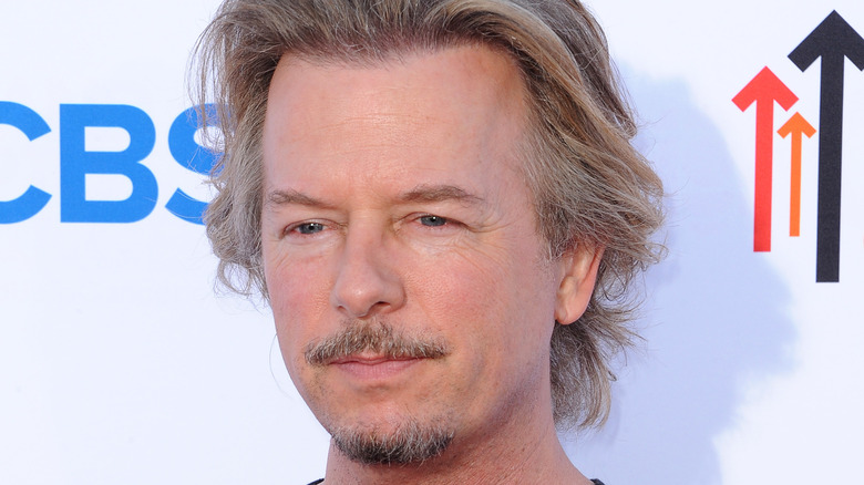 Close-up of David Spade