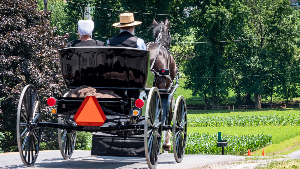 Amish family in buggy on road