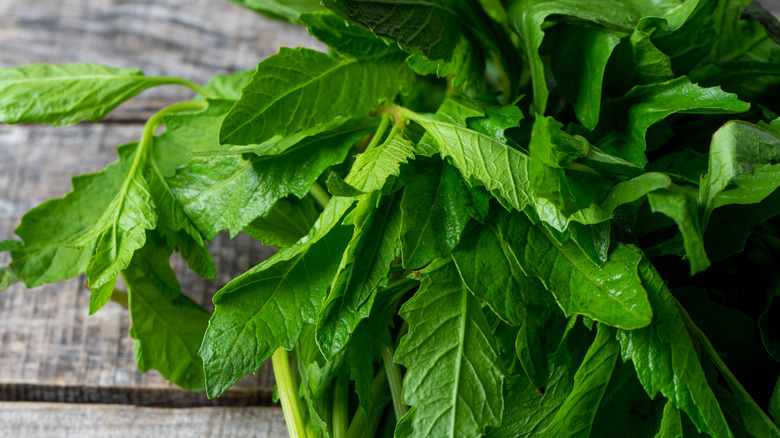 Pile of epazote leaves