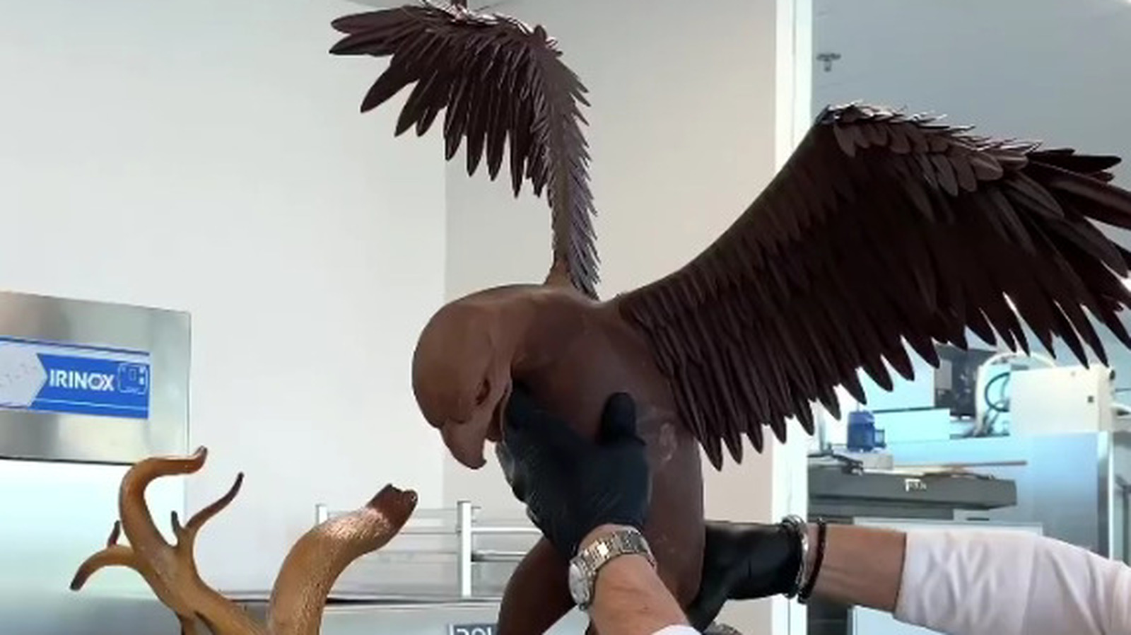 The Is Obsessed With This Oddly Satisfying Chocolate Eagle