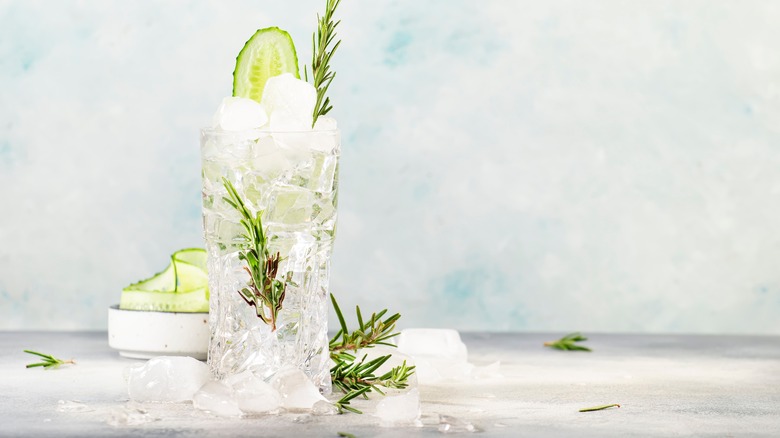 gin and tonic with cucumber