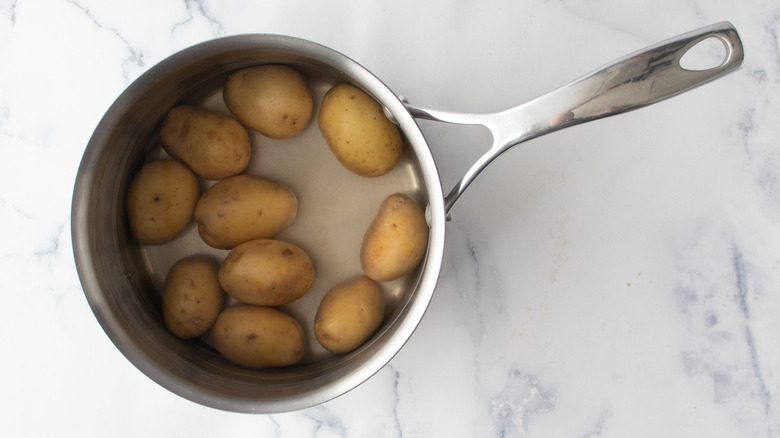 Baby potatoes in saucepan