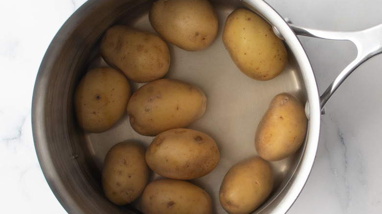 Baby potatoes in saucepan