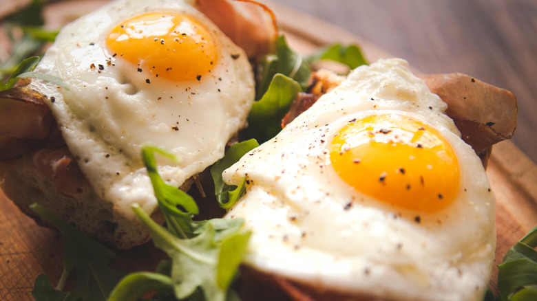 Fried eggs on bread