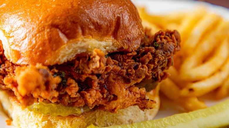 Chicken sandwich and fries on plate