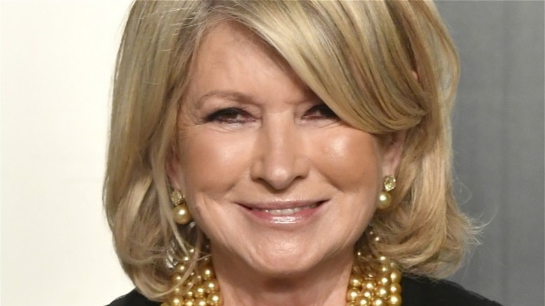 Martha Stewart close-up