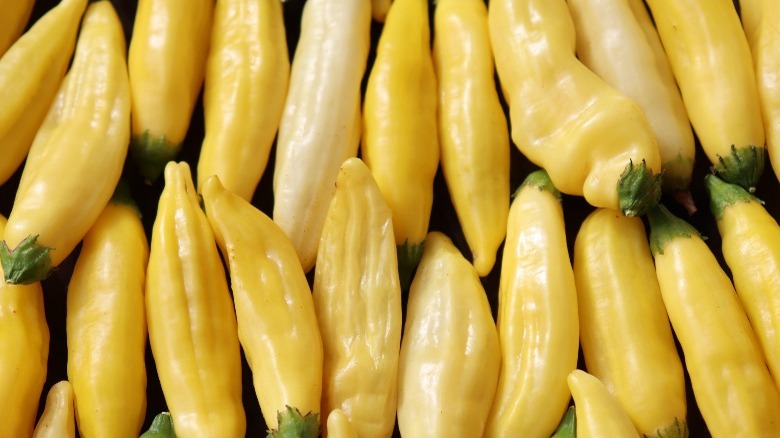 Lemon drop peppers