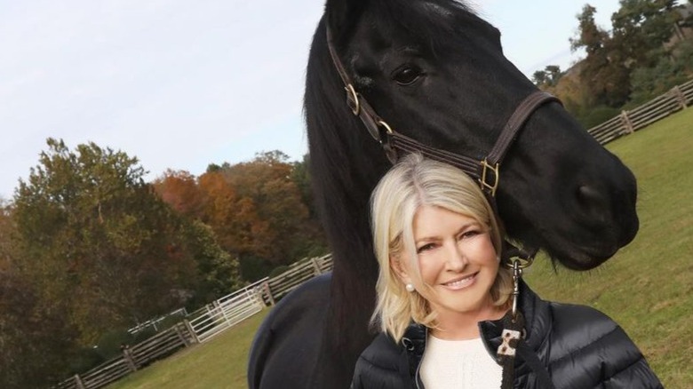 Martha Stewart con i cavalli 