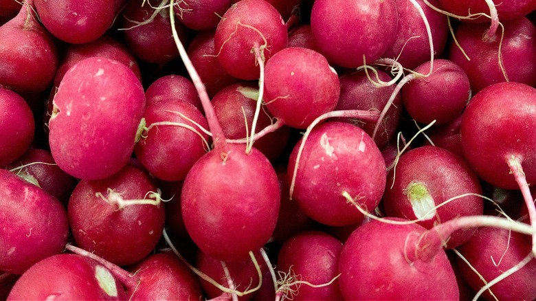 A pile of radishes