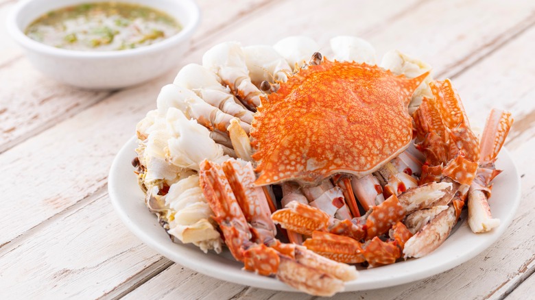 Boiled crab on a plate