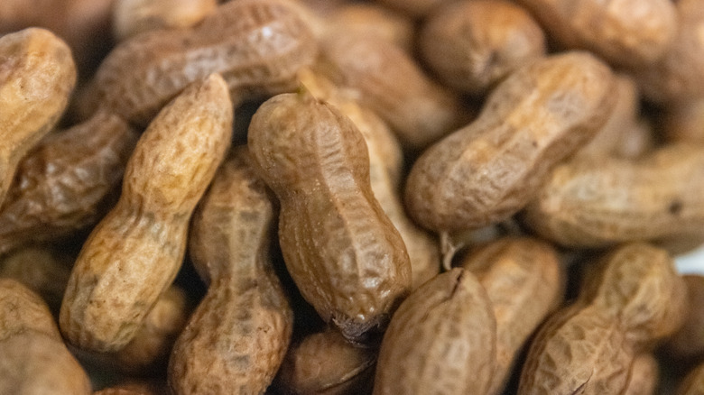 boiled peanuts up close