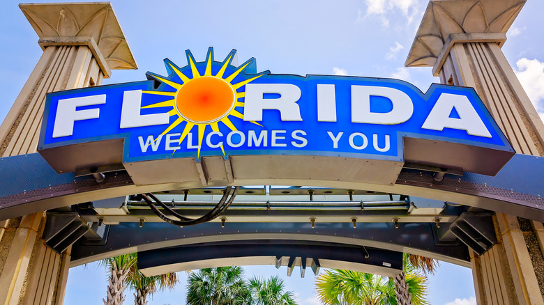 florida welcome sign against blue sky, palm trees in the background