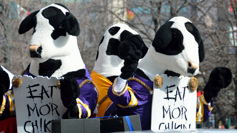 Chick-fil-A cows at an event