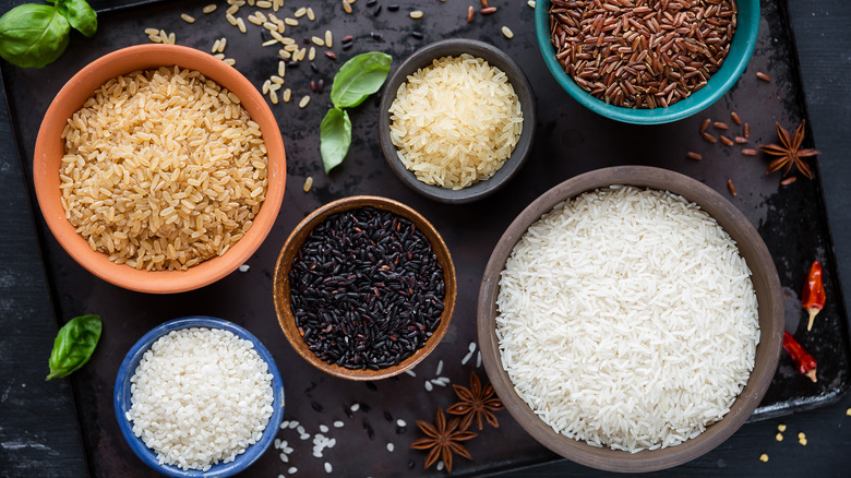 Different types of rice