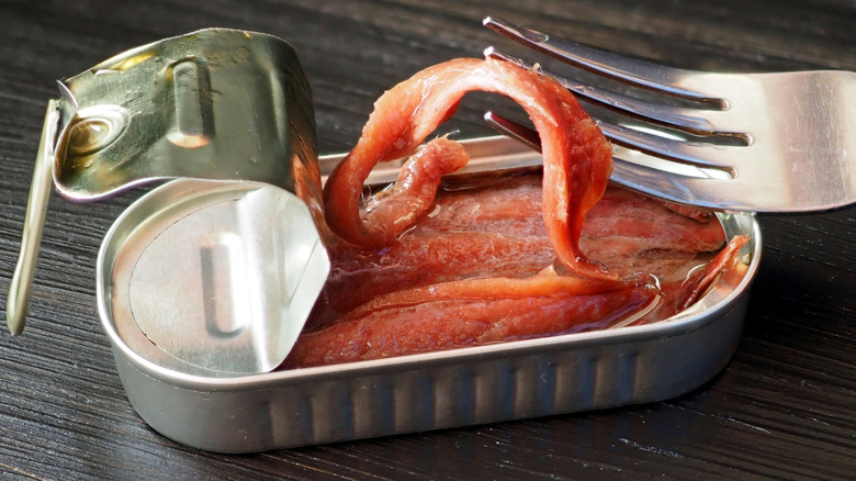 Fork with anchovy reaching into anchovies tin