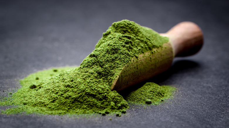 Scoop of Macha Powder
